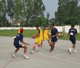 DSC08520