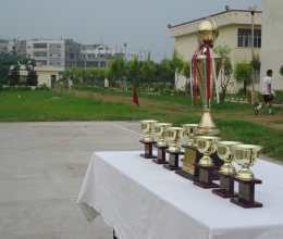 DSC08581
