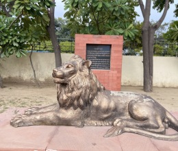 border-photos-6