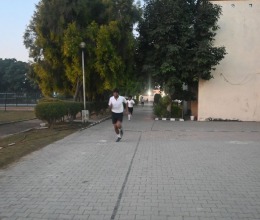 img-6