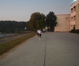 img-7